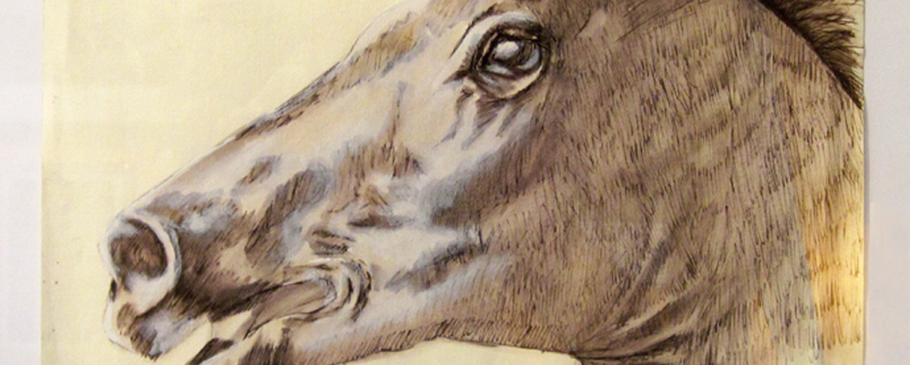 Horse